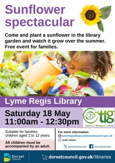 Sunflower Spectacular at Lyme Regis Library 